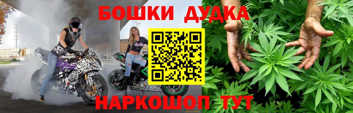 Каннабис сатива Куйбышев
